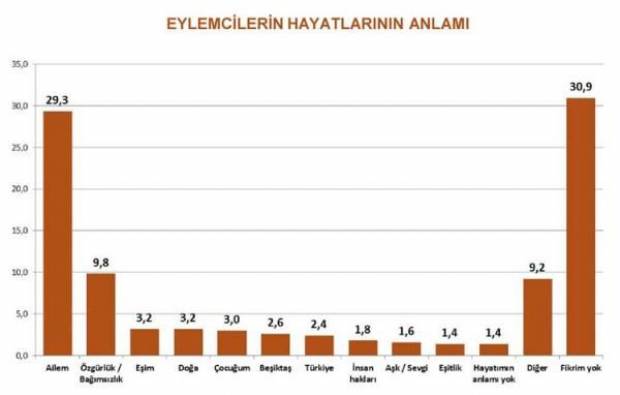 Gezi Park� Anketi